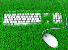 Green IT Solutions